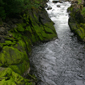 Ketchikan Stream